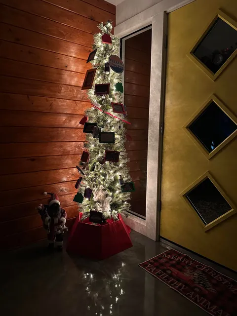 I woke up early to sit with Christmas before the chaos begins.