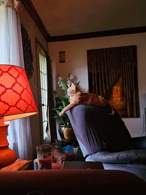 My living room on a quiet morning