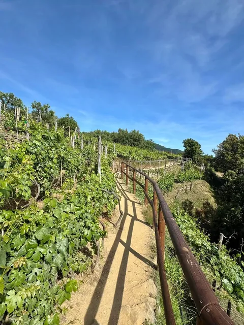 Hiking Cinque Terra Italy, the best longest day!