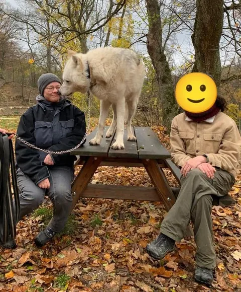 hiii lets hear it! guess my age!