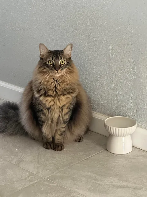 It’s been one year, and our little one has grown up