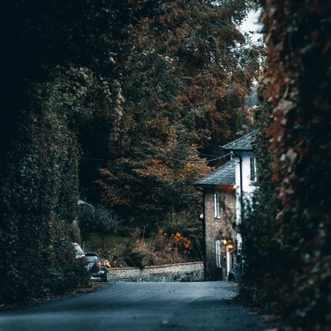 Newbie Photographer. Taken in the village i live in whilst walking home.