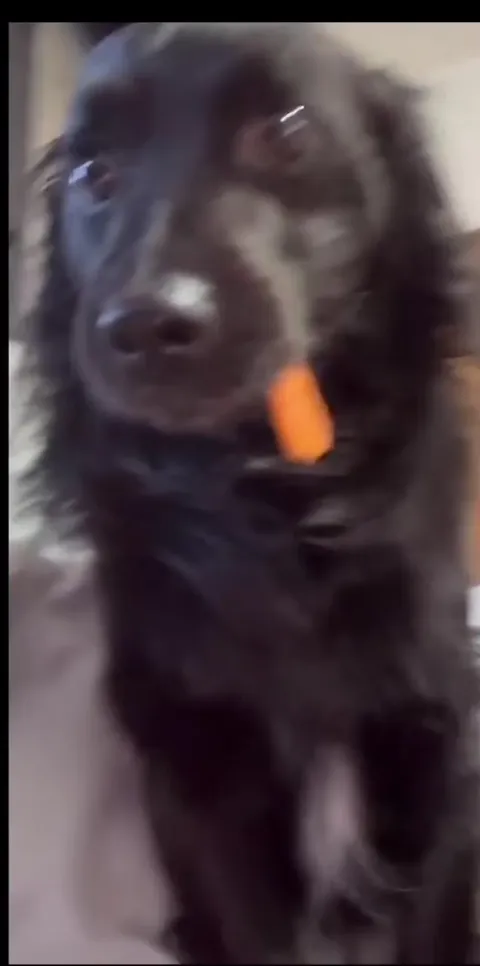 My mom told him to eat carrots 🤭😅
