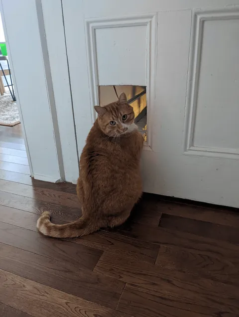 Our little bartender is off duty now, but he gave great service while he was here