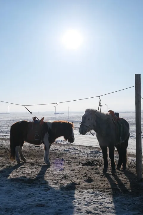 Mongolia in winter: Cold, quiet and unrivalled beauty 🇲🇳