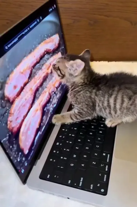 Guess this lil’ baby hasn’t eaten for days 🤣🤣🤣