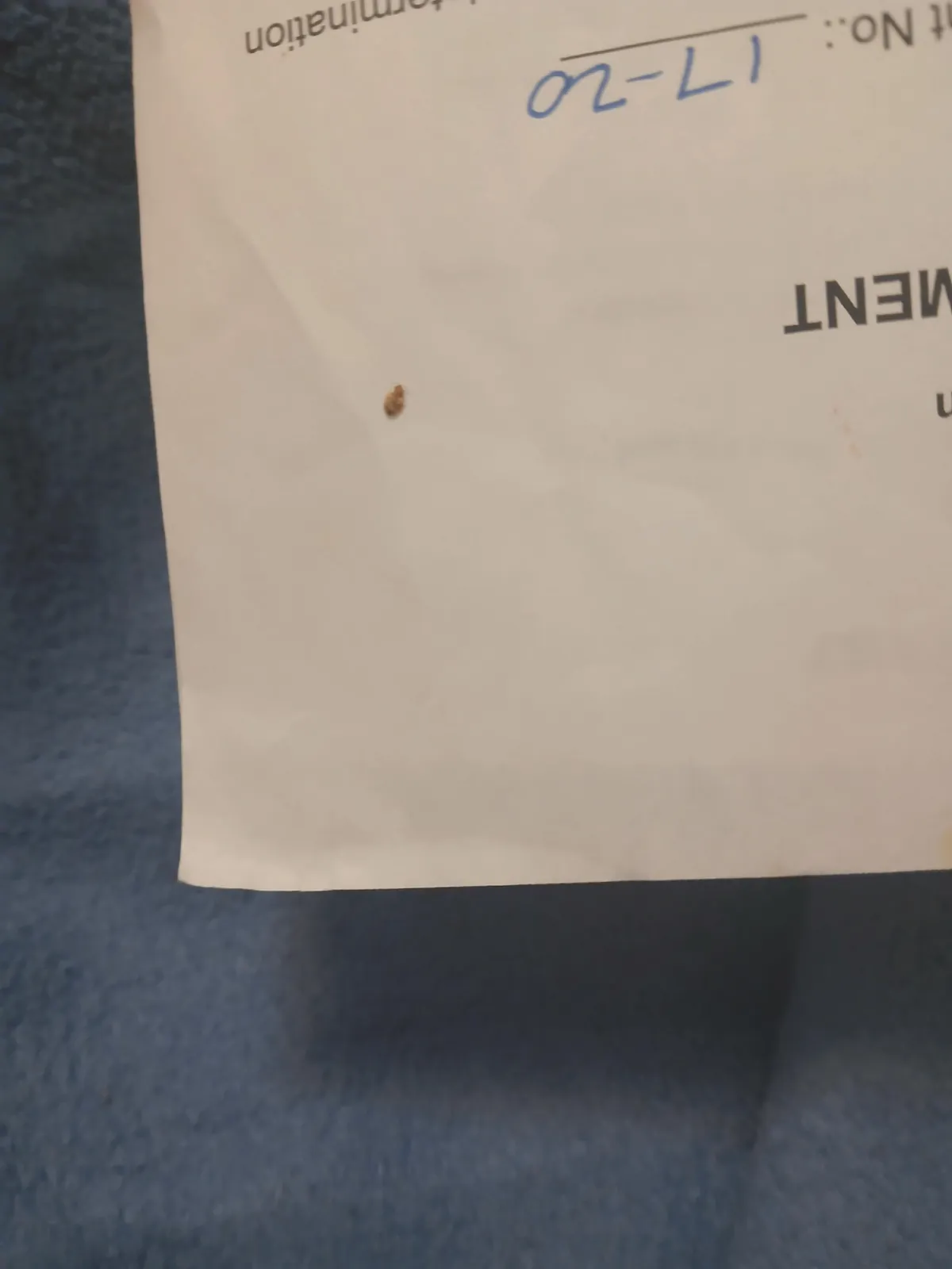 PLEASE GOD NO. And im getting ready to move this month.....