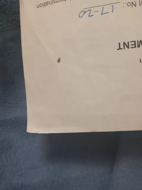 PLEASE GOD NO. And im getting ready to move this month.....