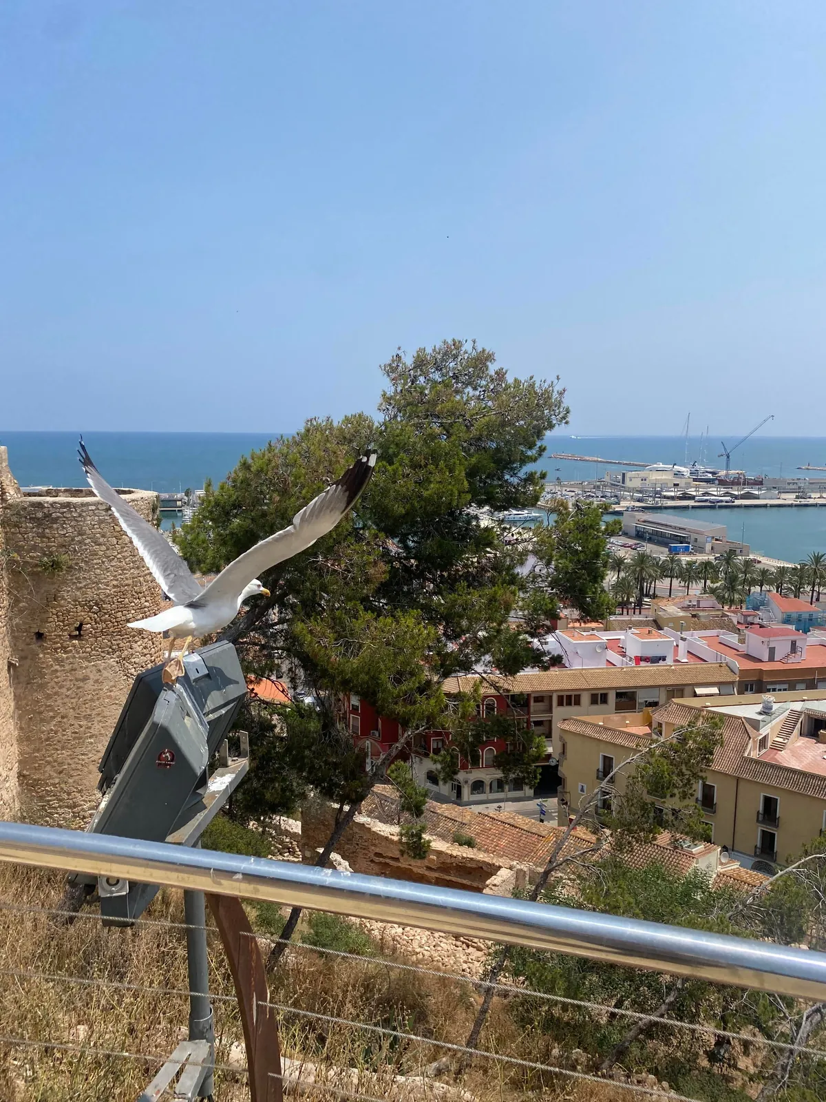 My time in Dénia Spain 🏴󠁧󠁢󠁥󠁮󠁧󠁿 🛫🇪🇸