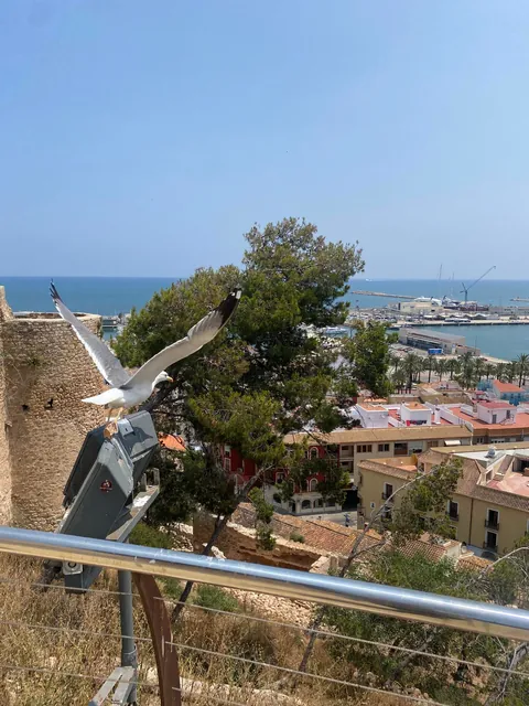 My time in Dénia Spain 🏴󠁧󠁢󠁥󠁮󠁧󠁿 🛫🇪🇸