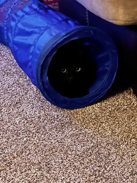 He started drooling while watching us eat dinner &amp; then pouted when he didn’t get any