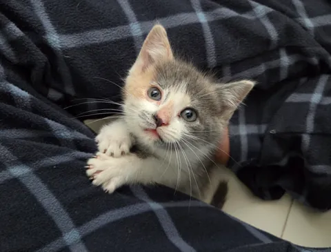 This is Zelda and she is mine.