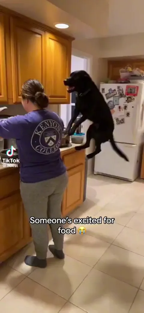 I love excited dogs 😝🤣