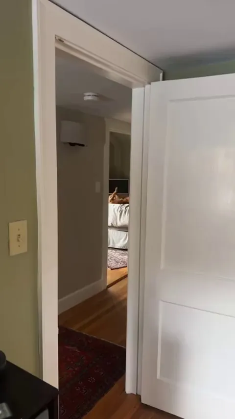 This is the view I have when working from home…