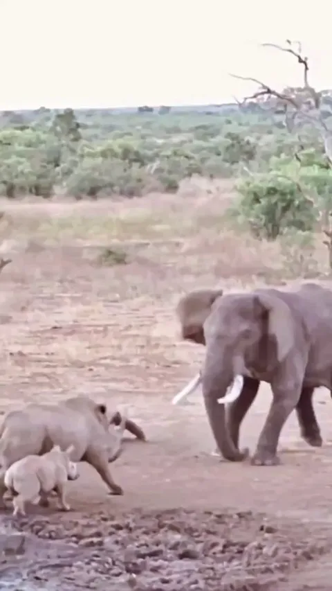 Weight Classes exist for a reason.