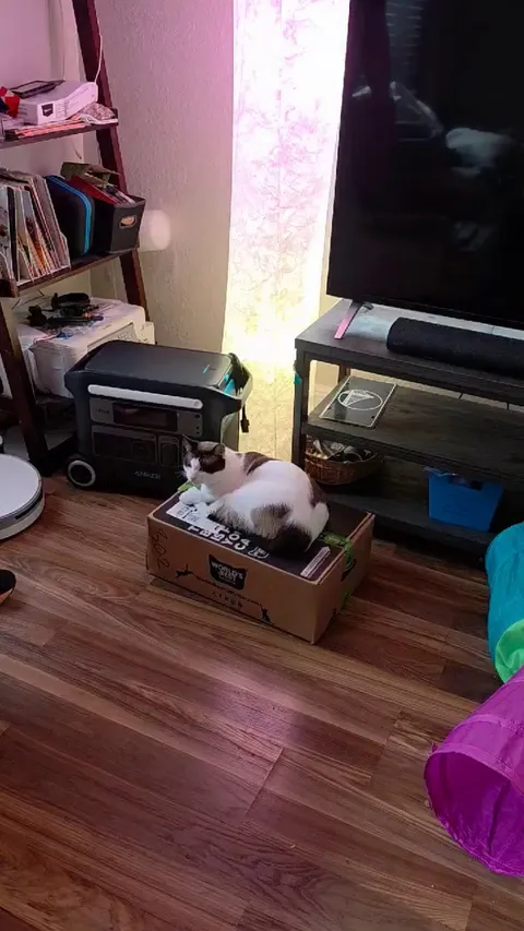 This is the most special boy that has ever been and I wanted to share his most special act of love he gives me everyday 😻