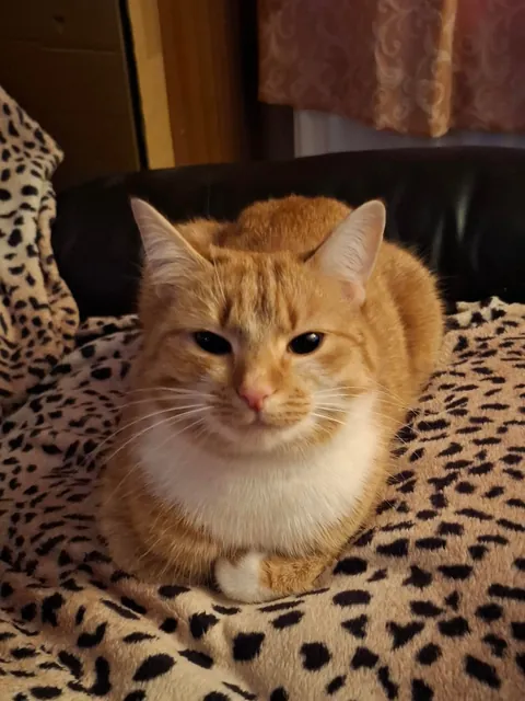 No brain in her head, just :3