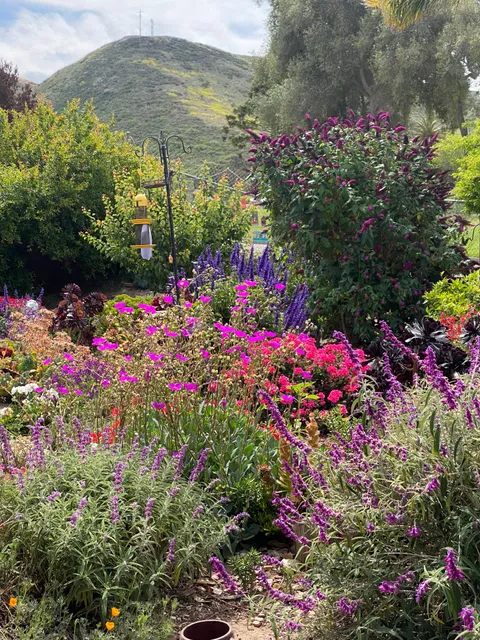 Sharing my garden: we are happy chaos