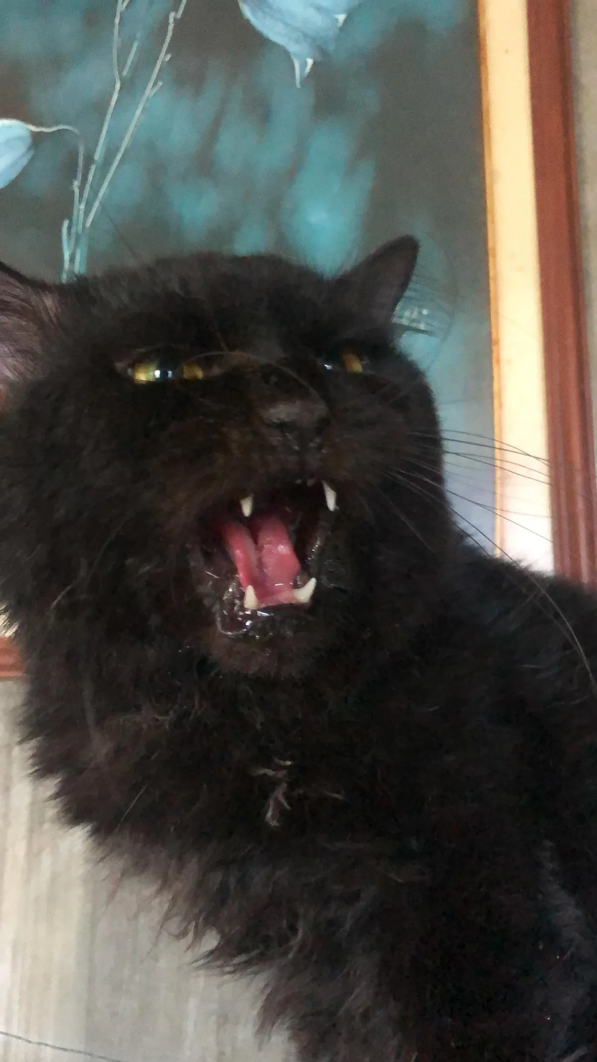 I lost my buddy a week ago.