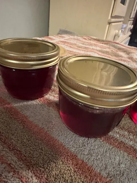 Made a batch of jelly from my grapes.