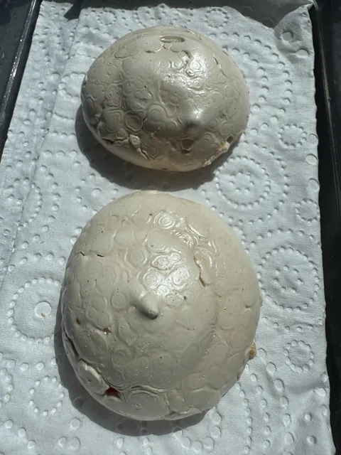 My meringues have developed a turtle shell pattern on them.