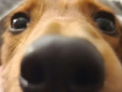 Charli says you smell wonderful today