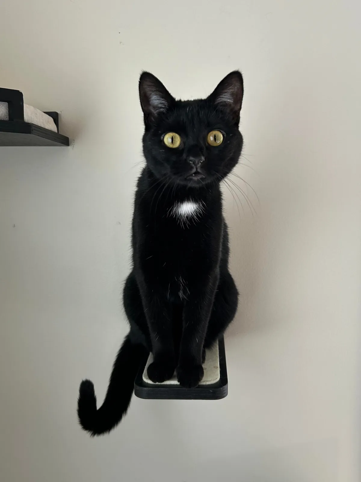 Stella is not the perfect child contrary to popular belief. Don’t let her looks fool you. Lol.