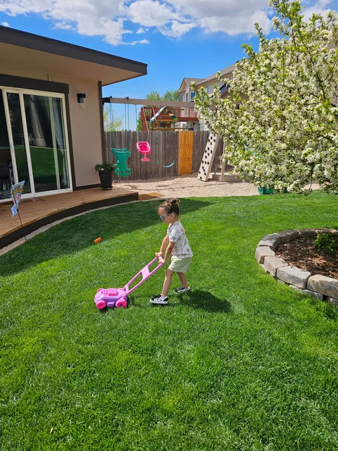 Built a playhouse for the grandkids 