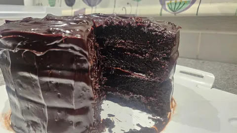 [Homemade] I Made A Fudgy Matilda Chocolate Cake