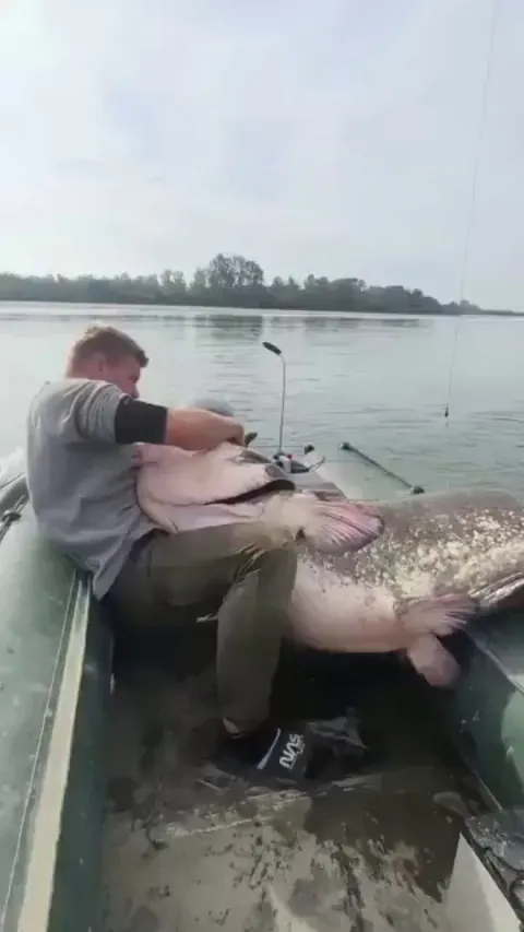 the size of that fish !!!