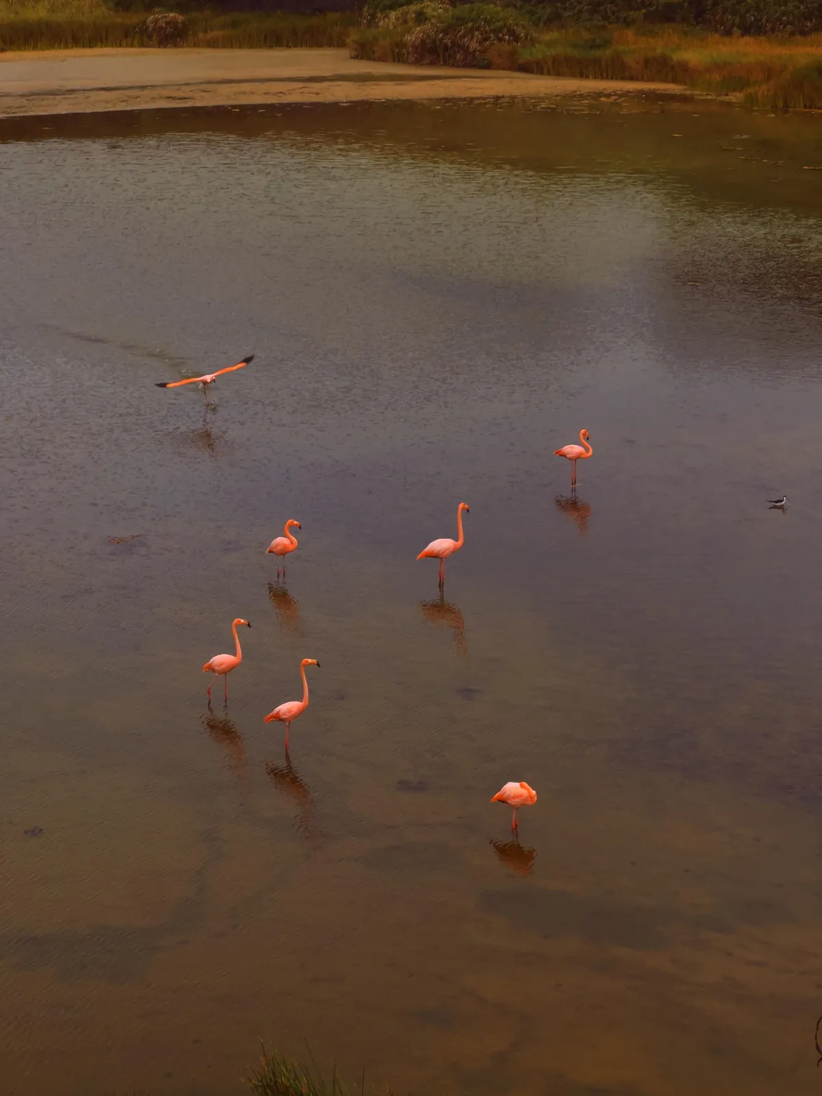 5 days in Galapagos in Sep 2025.