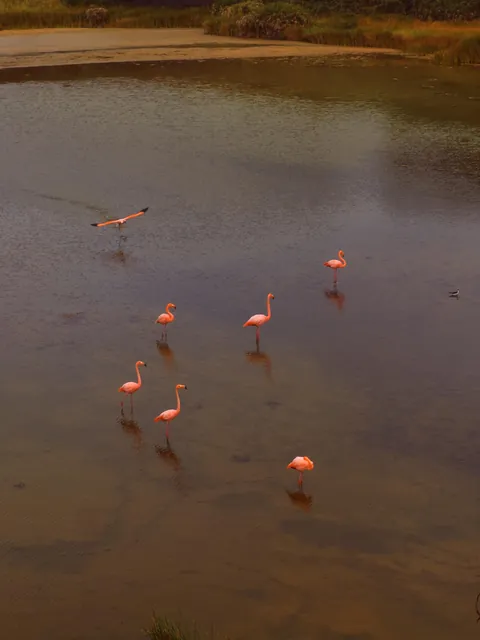 5 days in Galapagos in Sep 2025.