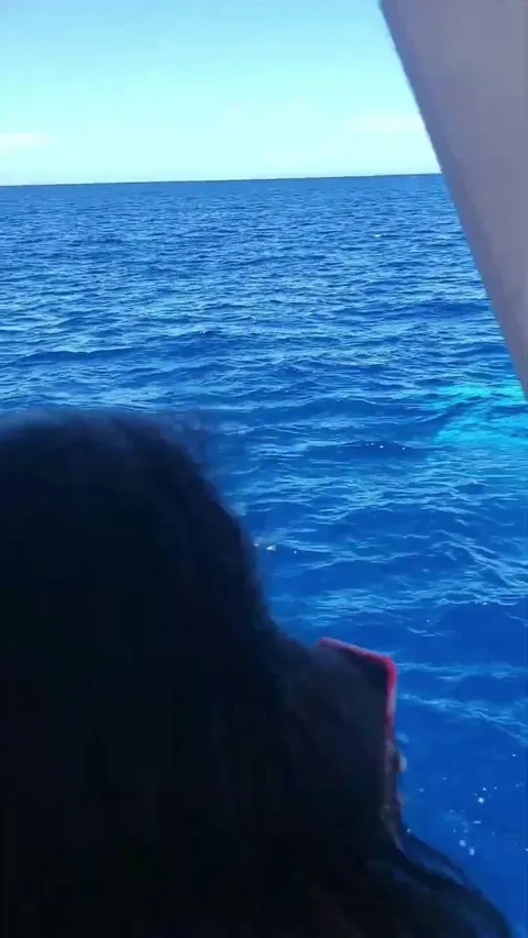 Ocean sightseeing at Hawaii