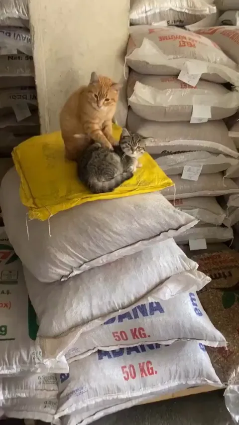 Masseur and factory worker