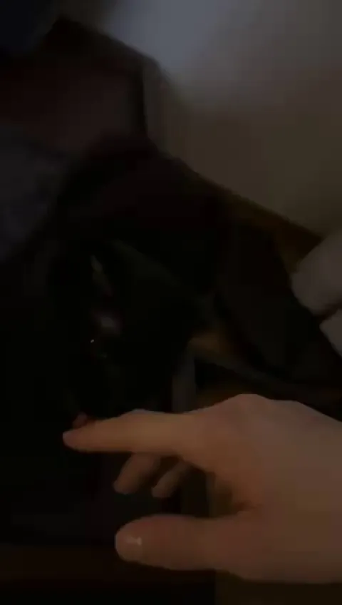 He starts all sweet… and then turns into a tiny panther.