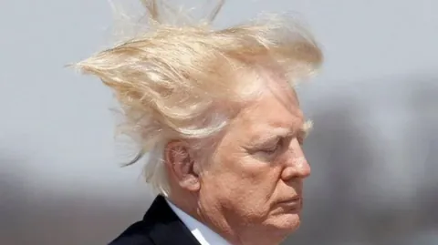 PsBattle: Donald Trump hair blown