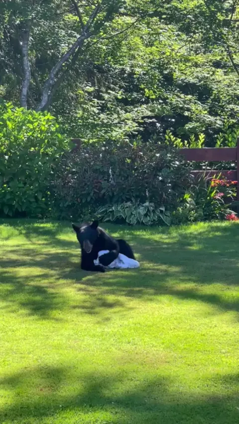 When you hang out your freshly-washed sheets on the line in North Vancouver, B.C.