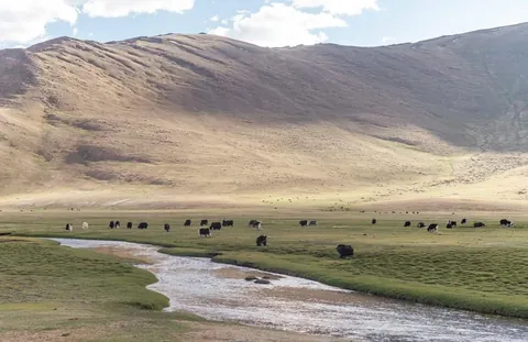 I cycled across Mongolia. Here are some pics. 