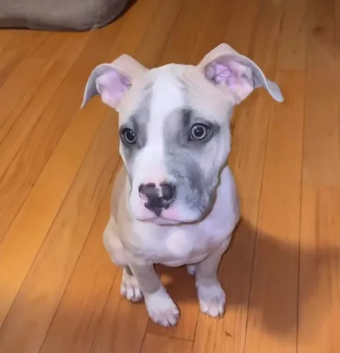 Please rate my pretty girl 1-10