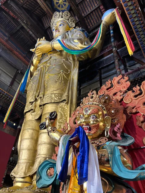 Pictures from my second trip to Mongolia (Summer 2025)