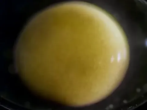 How a salamander develops from a single cell