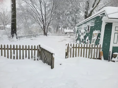 Does anyone know what is wrong with my gardens? This stuff popped up literally everywhere and I don't know if its bad for my plants or not. New here thanks for your help.