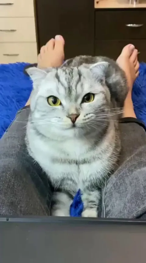 Kitty tries her best to smile. :)