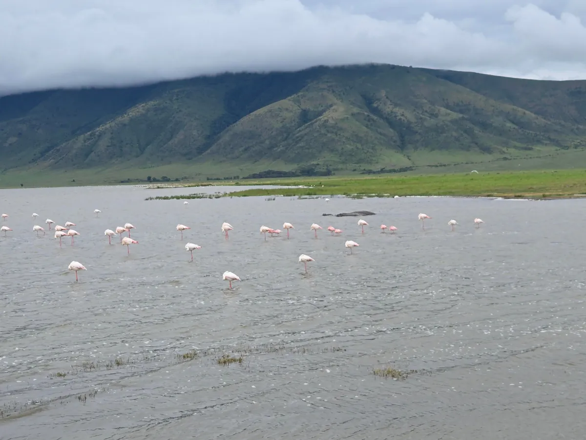 The Beauty of Tanzania