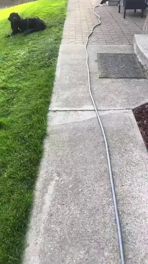 What did I just walk in on??