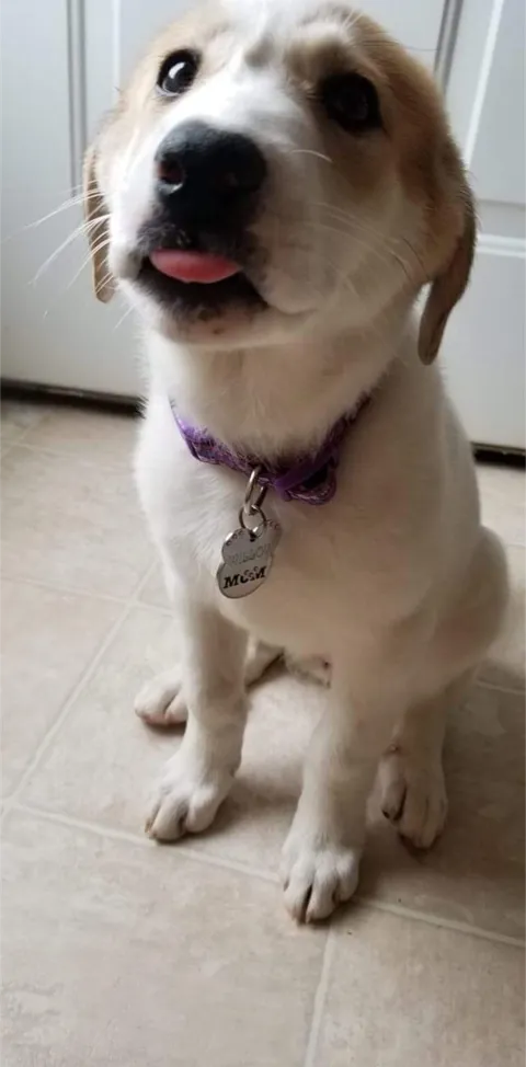 She'll always be my little girl