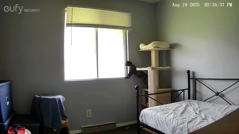 Poor baby got left when her owner got evicted