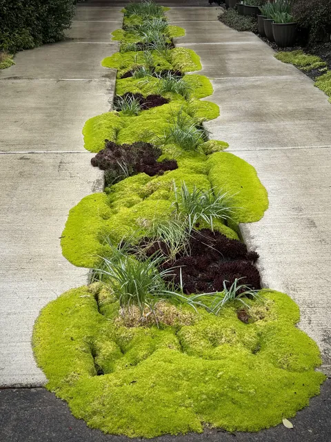 My mom stumbled across an amazing driveway (photo is unaltered).