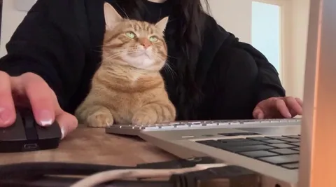 Working from home when your son has attachment issues