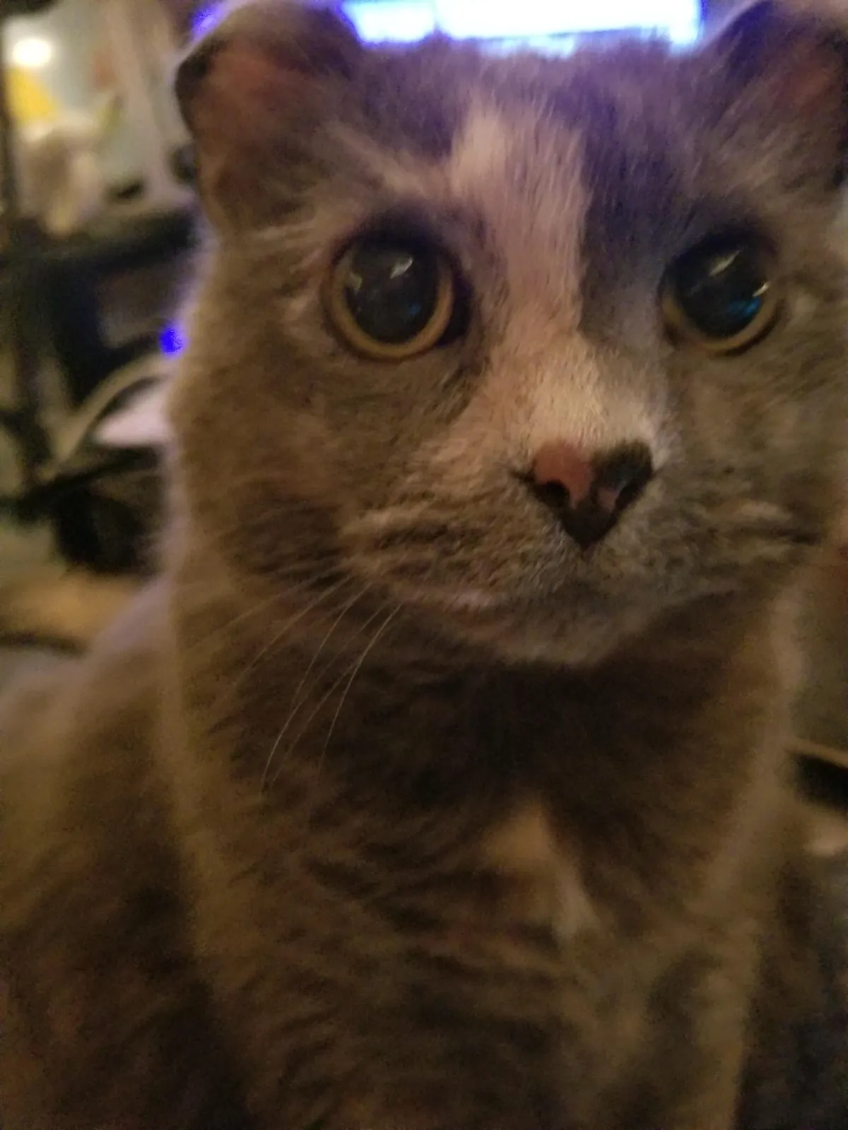 My 17 year old baby passed this morning